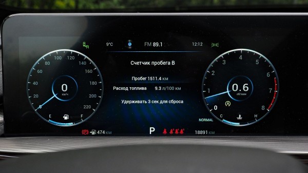 Ветеран Skoda Kodiaq против новенького Chery Tiggo 8 Pro Max: остатки сладки? Ветеран Skoda Kodiaq против новенького Chery Tiggo 8 Pro Max: остатки сладки?