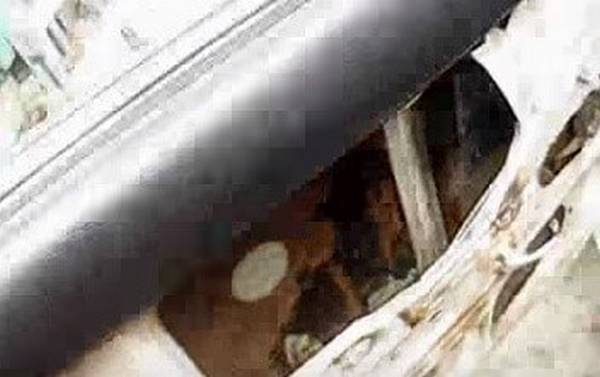 Ставим электростеклоподъемники на автомобили ВАЗ Ставим электростеклоподъемники на автомобили ВАЗ